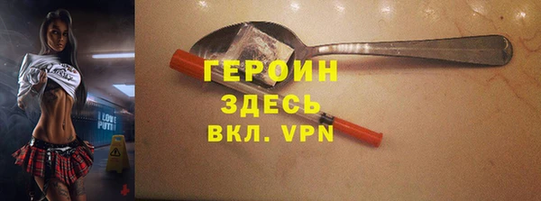 индика Архангельск