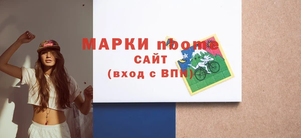 индика Архангельск
