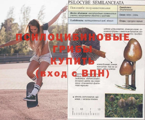 кокаин колумбия Алексин