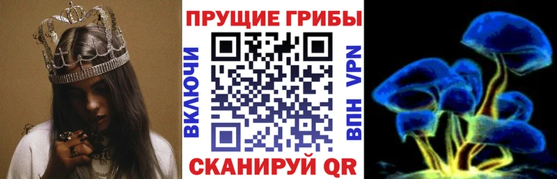 Галлюциногенные грибы GOLDEN TEACHER Камень-на-Оби